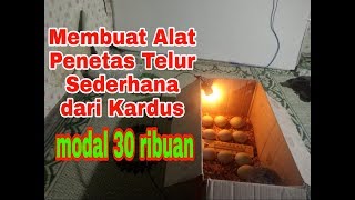 Tutorial membuat Alat Penetas Telur Sederhana Dari Kardus