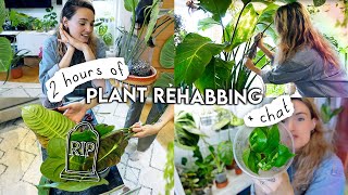 🔔 2 Hours(!!) Of Houseplant REHAB 🌱 Repotting, Propagating, Styling, Rehabbing + Organising Plants