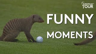 Funniest Moments of the Year | Best of 2019