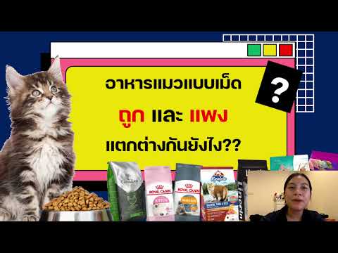 อาหารแมว ถูก และ แพง แตกต่างกันยังไง??