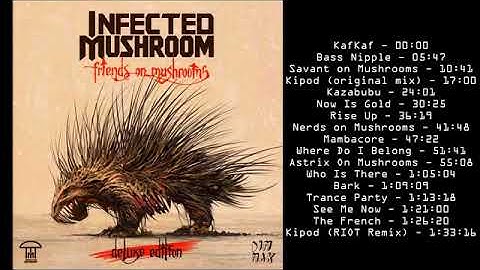 Infected Mushroom - Friends On Mushrooms