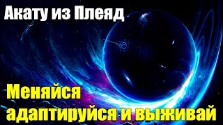 Бедственное положение Земли#Эра Возрождения