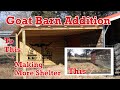 CARPORT GOAT BARN ADDITION | Easy Goat Barn Shelter | Goat Barn | Kiko Goats | Goat Farm