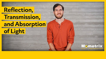 Reflection, Transmission, and Absorption of Light