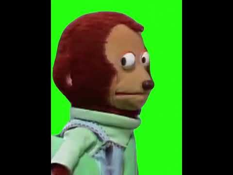 Pedro Monkey Puppet - Awkward Look Meme - Green Screen 