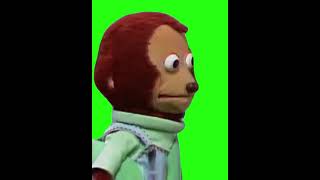 Pedro Monkey Puppet - Awkward Look Meme - Green Screen