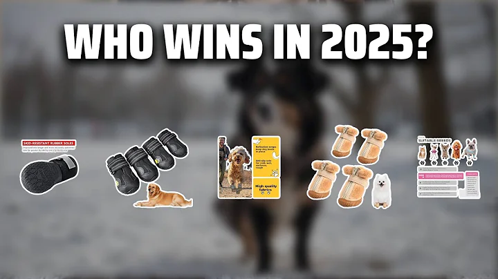 The Top 5 Best Dog Winter Shoes in 2025 - Must Watch Before Buying!