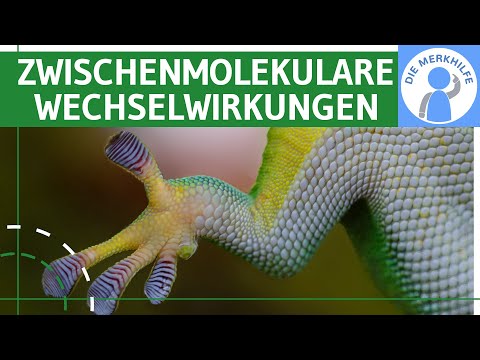 Video: Unterschied Zwischen Intermolekularer Und Intramolekularer Wasserstoffbindung