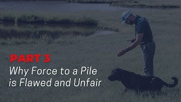 Part 3 - Force to a Pile is Flawed and Unfair