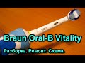 Простой ремонт. Зубная щетка Braun Oral-B Vitality. Разборка, схема, ремонт.