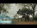 Face to face with an elephant – Shaka iLembe | S1 | Ep 6 | Mzansi Magic