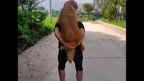 I’m not lazy. Just on energy saving mode….just for 🤣#shorts #youtubeshorts #Shorts