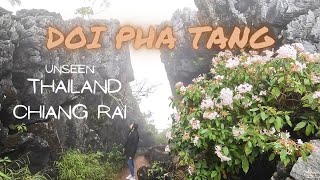 Travel at Doi Pha Tang, Chiang Rai Unseen Thailand where Mountain Flowers bloom  เชียงราย ประเทศไทย