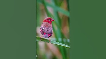 أذكار الصباح#اذكار_الصباح #صباح_الخير #اكسبلور #اسلاميات #دعاء #دعاء_الصباح