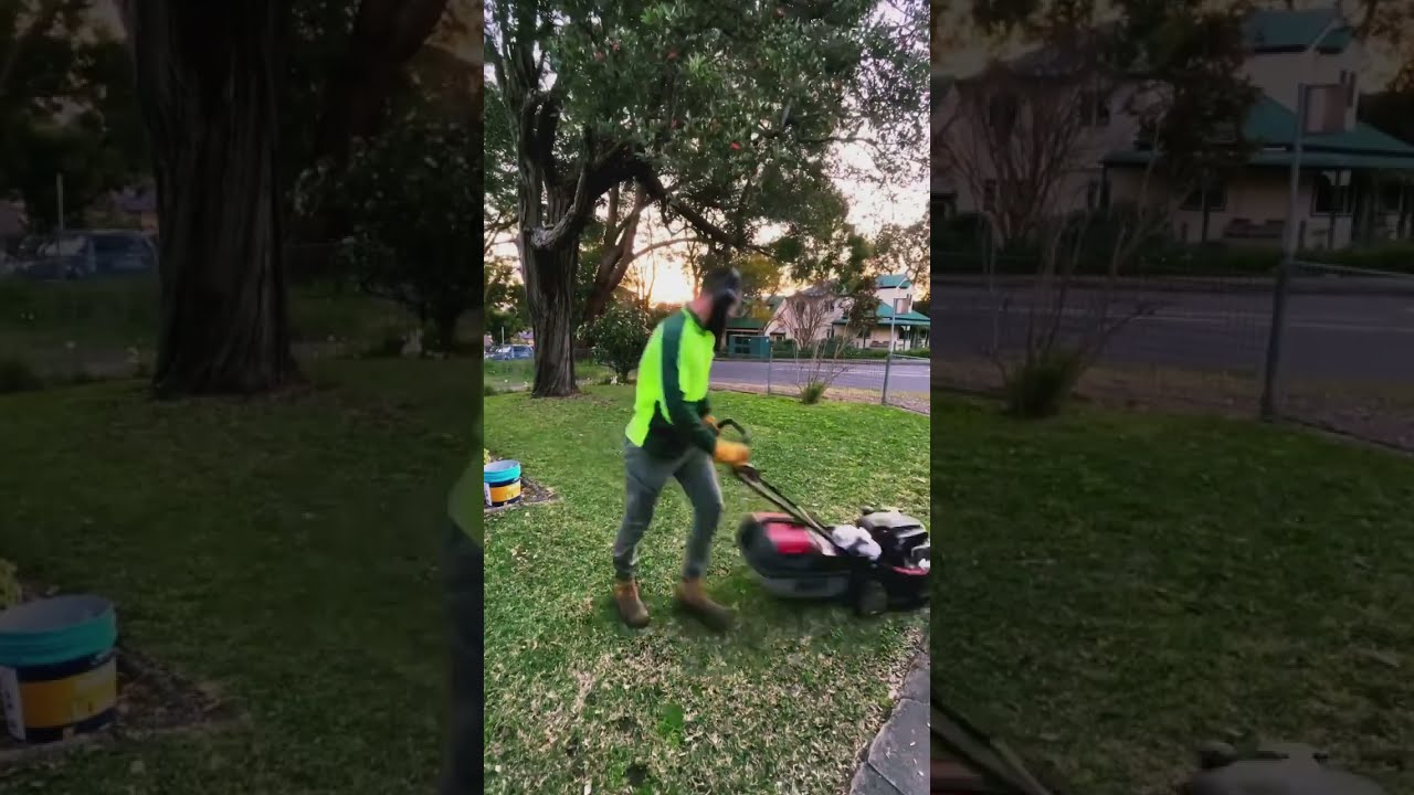 Clean up leaves with lawn mower cheap