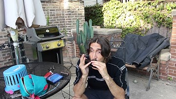 Diatonic or Chromatic harmonica ? GiulioBrouzet