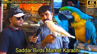 Saddar Unique and Rare Parrots and Exotic Birds Market Karachi | سوق الببغاوات الجميلة والنادرة