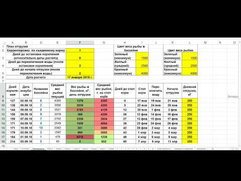 График кормления, расчет корма и прогноз отгрузки рыбы. Африканский сом.