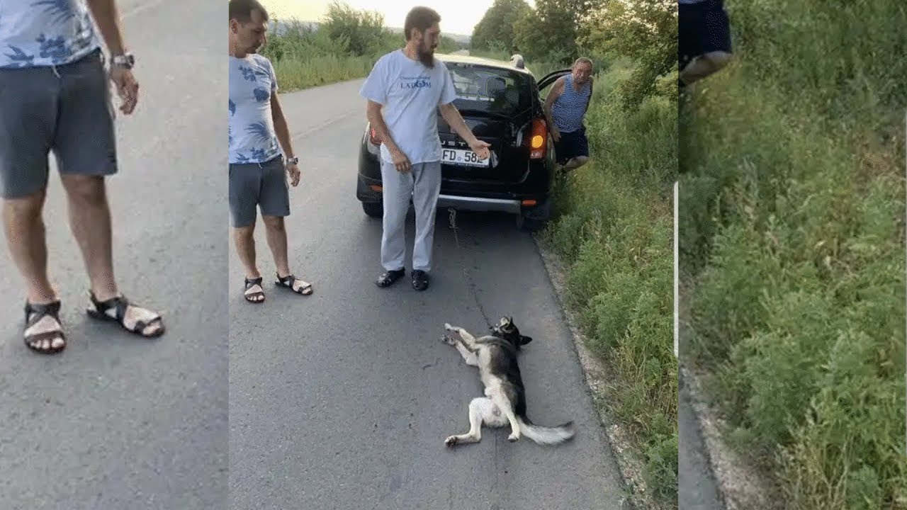Священник на машине