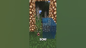 When you make the Aether portal on Minecraft. #minecraft #minecraftshorts #minecraftanimation