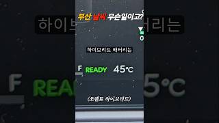 부산 날씨 무슨 일이고? 쏘렌토 하이브리드 배터리 걱정