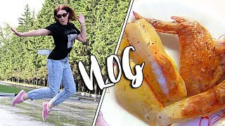 VLOG: ДОМАШНЯЯ ТРЕНИРОВКА / ХИТРЫЙ ЛИС / ПРАНК / К...