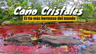 Cómo ir a Caño Cristales Colombia - El río más hermoso del mundo. Guía completa