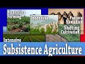 Subsistence Agriculture in the Developing World