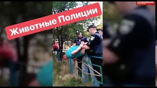 Животные Полиции Животные Полиции