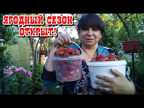 Хутор мамы ларисы новые видео