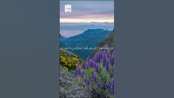 سورة العلق بصوت القارئ سعد الغامدي الآيات (1-2-3-4-5-6-7-8)