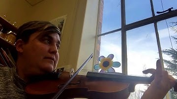 Hook stroke B major scale violin ameb grade 3