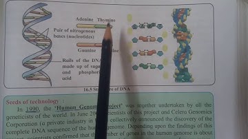 Science And Technology- STD IX Part 2 Chapter 16 - Heredity And Variation