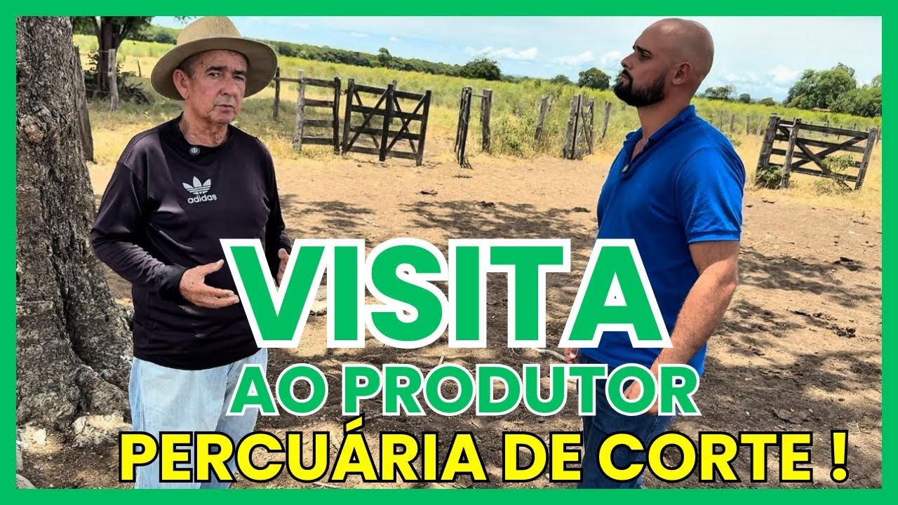 Visita TÉCNICA produtor de GADO de CORTE WANDELEY-BA.