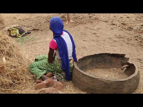 Mali Sikasso Animal Market / Mali Sikasso Marché aux animaux