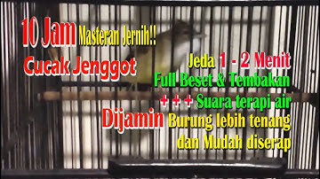 10 JAM MASTERAN TERBAIK!!! Besetan & Tembakan Cucak Jenggot Jernih ++JEDA 1-2 MENIT & TERAPI AIR
