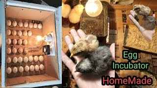 How To Make An Egg Incubator At Home || Incubator For Chicken Eggs || By Dr Genius || Aaqib Abdullah