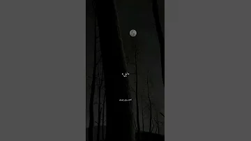 ليل ليل ياليل تصميم فيديوهات اغاني ستوريات انستا 