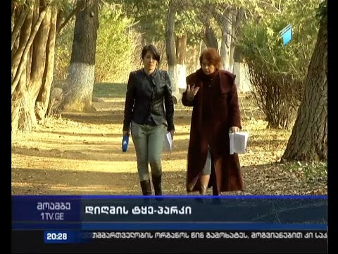 დაკარგული სტატუსი - დიღმის ტყე-პარკის გამო პროკურატურაში კიდევ ერთი საჩივარი იგზავნება