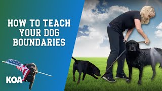 How to Teach a Service Dog to Respect Boundaries!
