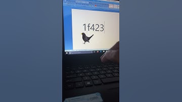 Ms word bird symbol shortcut key