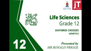 Information Gr 12 - Life Sciences - Genetics - Dihybrid Crosses News