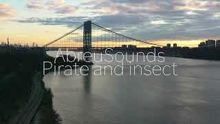 AbreuSounds - Pirate and insect