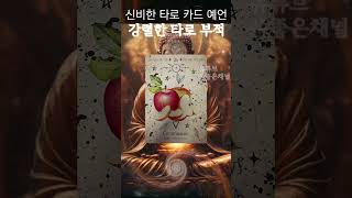 소름돋게 맞추는 타로카드 운세! 타로부적으로 만나는 놀라운 타로 예언! 지금, 나에게 필요한 타로 메세지! …