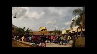 Harlem Shake- Safety Harbor Middle School