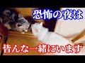 皆さん！これって怖くないですか？