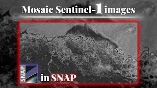 Mosaic Sentinel 1 images in the SNAP screenshot 5