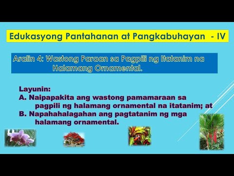 Video: Pamantayan Sa Pagpili Ng Fitness Club