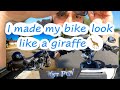New vlog + new upgrades on my Harley Softail! 