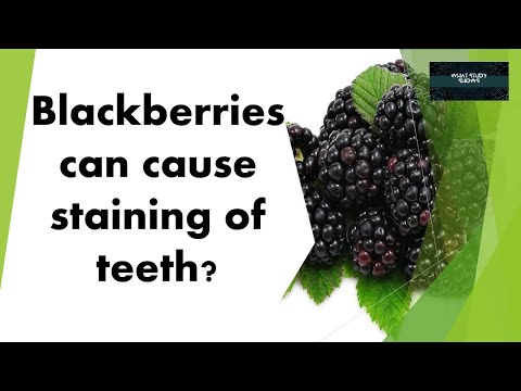 Blackberry | Blackberry Myths | Blackberry facts | Blackberry benefits | Nutrition |What Study Shows